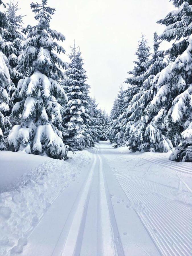 Chata Magistrala Bedřichov Exteriér fotografie